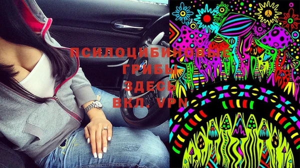ГАЛЛЮЦИНОГЕННЫЕ ГРИБЫ Янаул