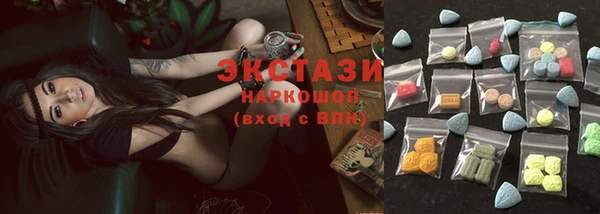 стаф Касимов