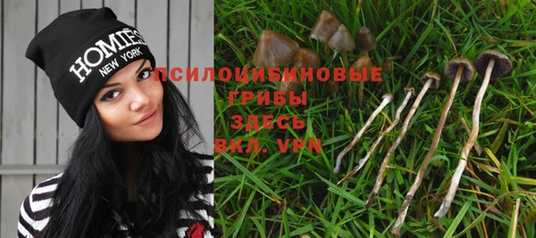 хмурый Яранск