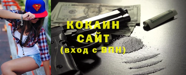 стаф Касимов